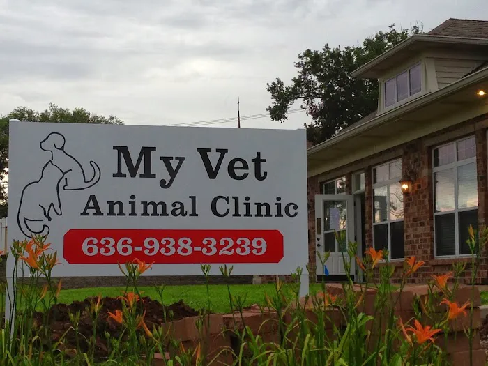 My Vet Animal Clinic Picture 5
