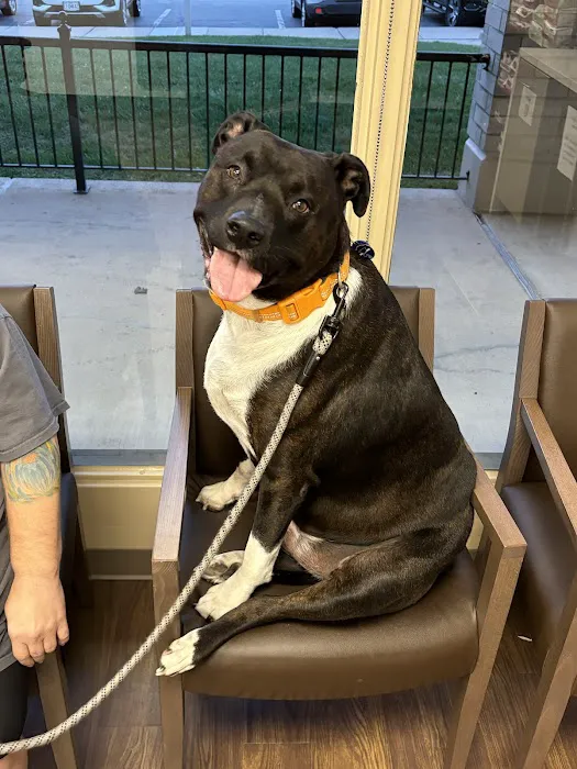 Fox Creek Veterinary Hospital Picture 3