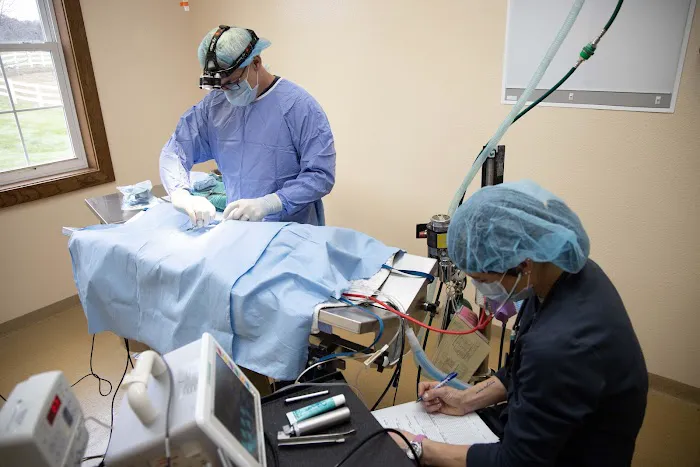 Fox Creek Veterinary Hospital Picture 5