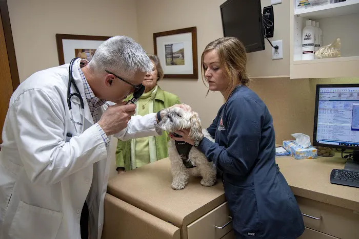 Fox Creek Veterinary Hospital Picture 8