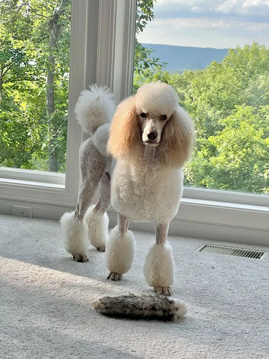 Fox Creek Veterinary Hospital Picture 7