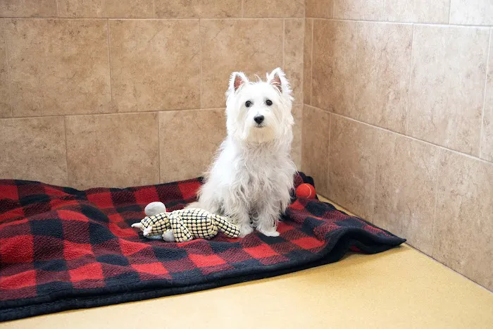 Fox Creek Veterinary Hospital Picture 10