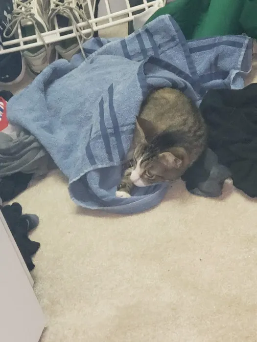 Eureka Veterinary Clinic Picture 1