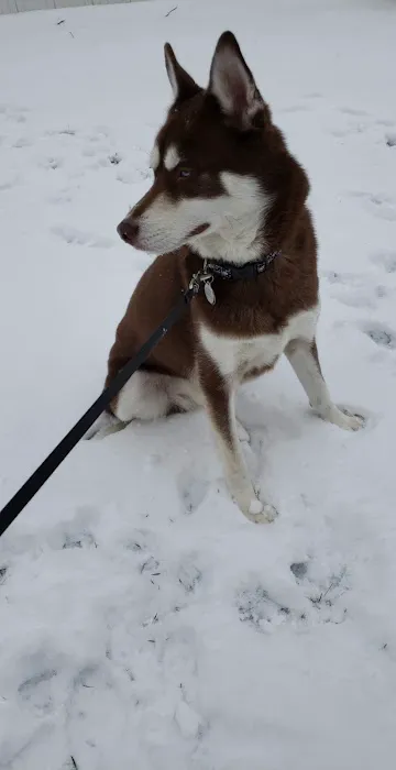 Eureka Veterinary Clinic Picture 2