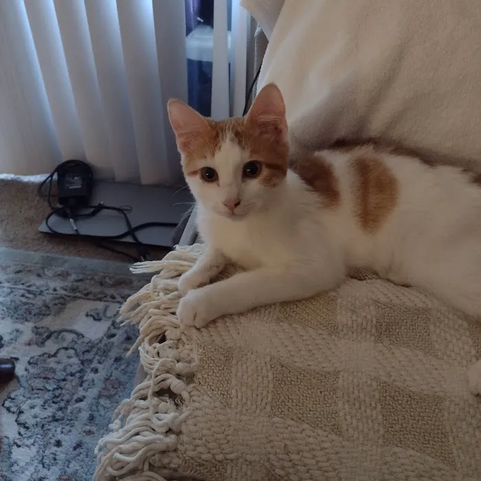 Eureka Veterinary Clinic Picture 8