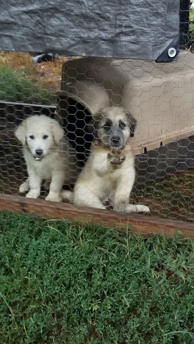 Eureka Veterinary Clinic Picture 5