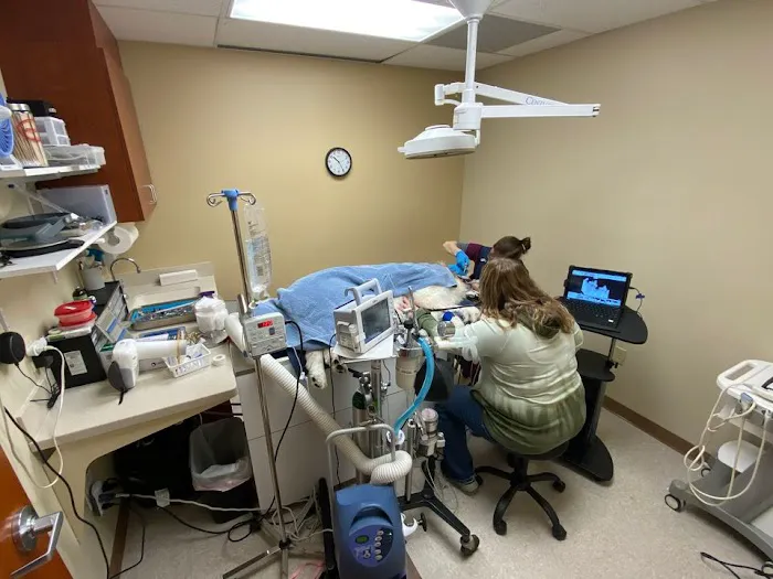 Eureka Family Pet Hospital Picture 3