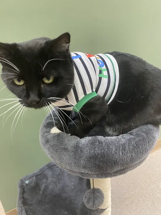 Eureka Family Pet Hospital Picture 2