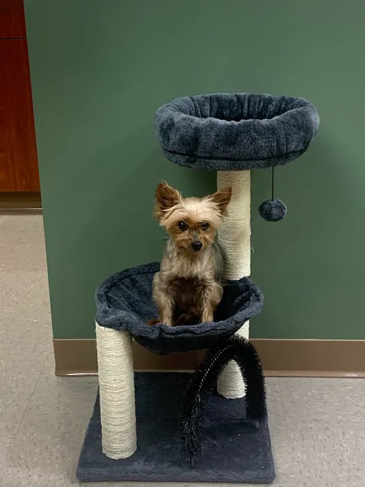 Eureka Family Pet Hospital Picture 4