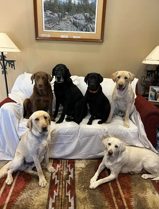 Eureka Family Pet Hospital Picture 7