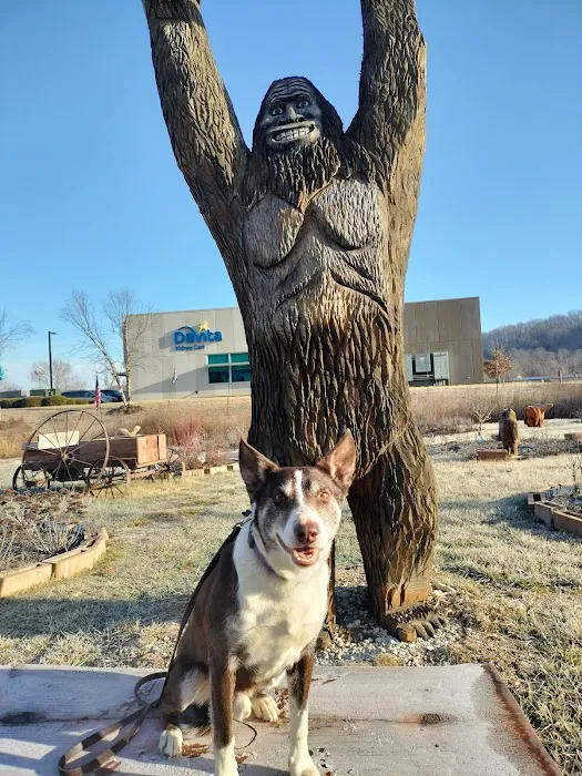 Ivan Animal Hospital Picture 1