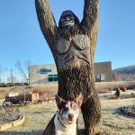 Ivan Animal Hospital