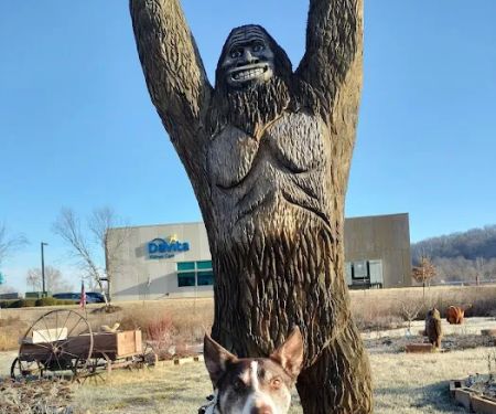 Ivan Animal Hospital