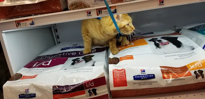 Ivan Animal Hospital Picture 6