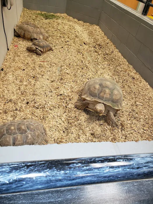 Ivan Animal Hospital Picture 9