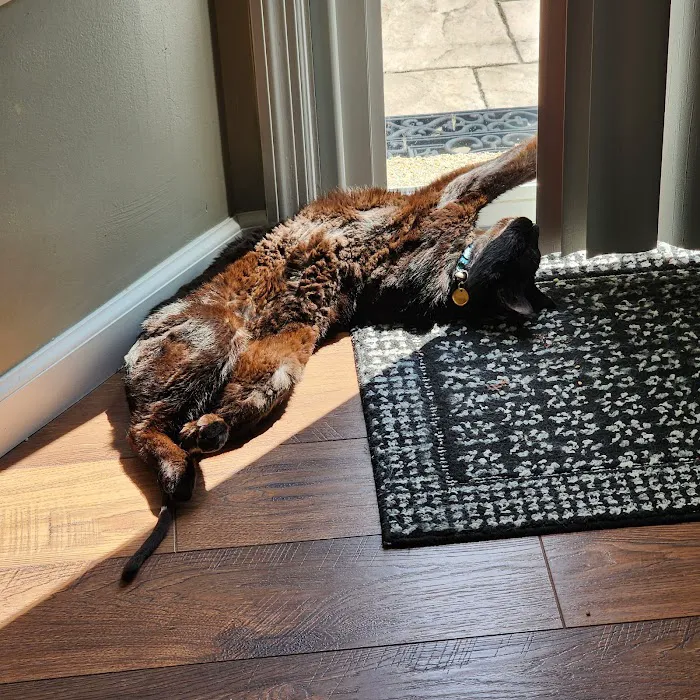 Ivan Animal Hospital Picture 10