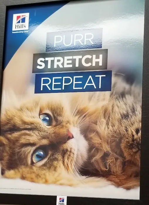 Ivan Animal Hospital Picture 8