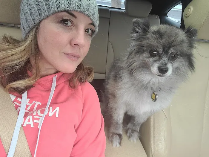 House Springs Animal Clinic Picture 1