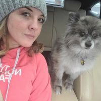 House Springs Animal Clinic ico