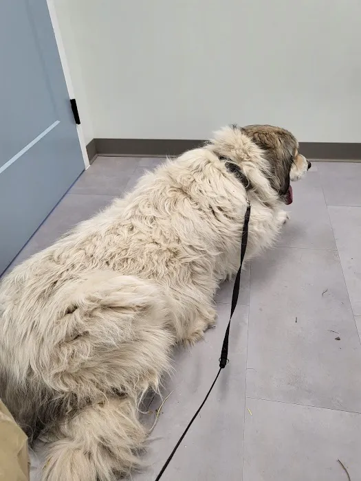 CountryVets Picture 7