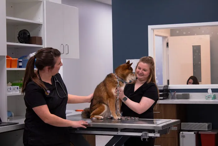 CountryVets Picture 6