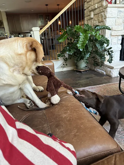 Hallsville Veterinary Services Picture 1