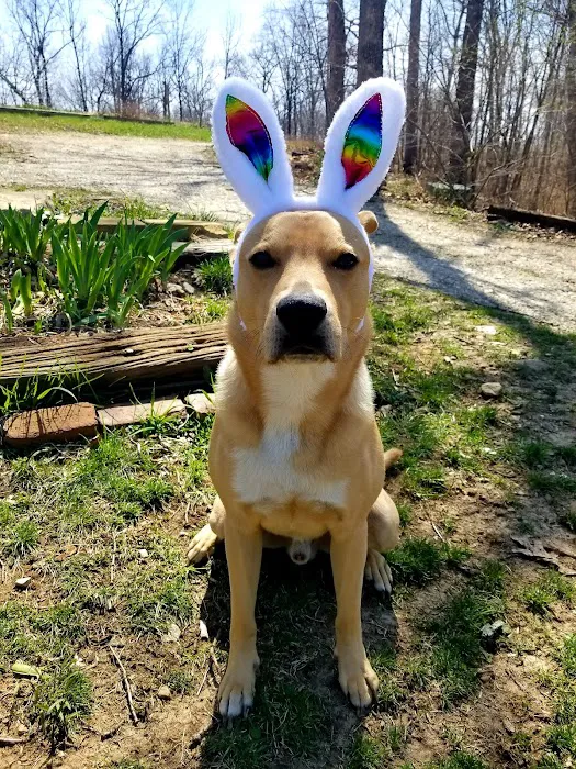 Hallsville Veterinary Services Picture 3