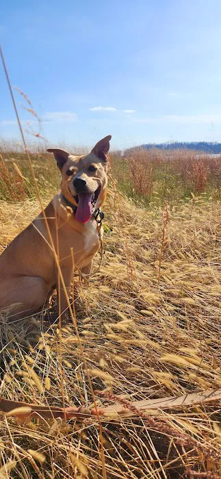 Hallsville Veterinary Services Picture 5