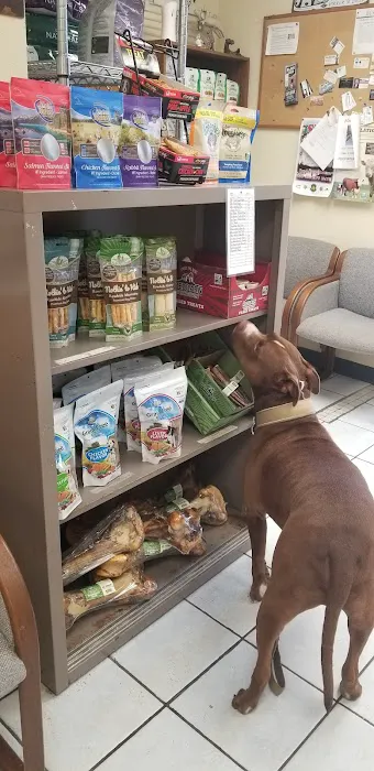 Hallsville Veterinary Services Picture 4