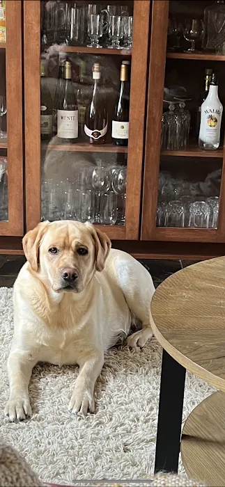 Hallsville Veterinary Services Picture 9