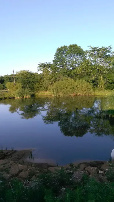 Stardust Dog Boarding Kennels Picture 2