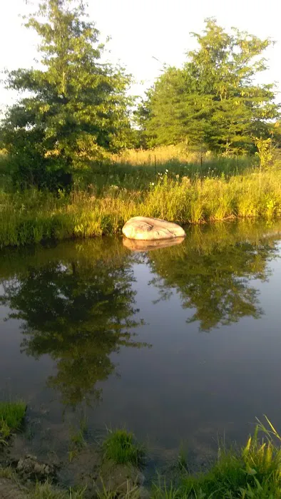 Stardust Dog Boarding Kennels Picture 5
