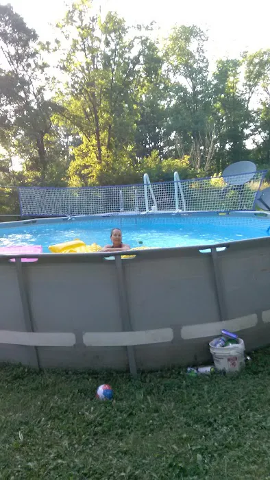 Stardust Dog Boarding Kennels Picture 7