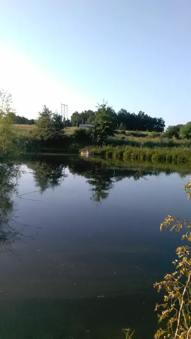 Stardust Dog Boarding Kennels Picture 6