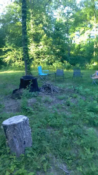 Stardust Dog Boarding Kennels Picture 8