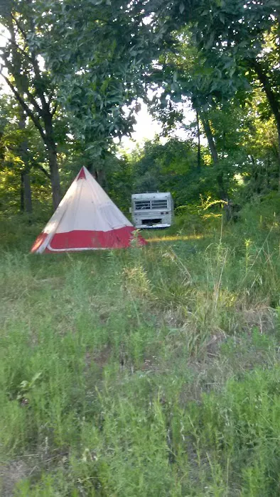 Stardust Dog Boarding Kennels Picture 4