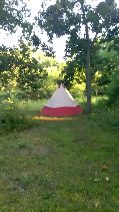 Stardust Dog Boarding Kennels Picture 9