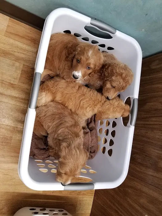 Mexico Animal Hospital Picture 2