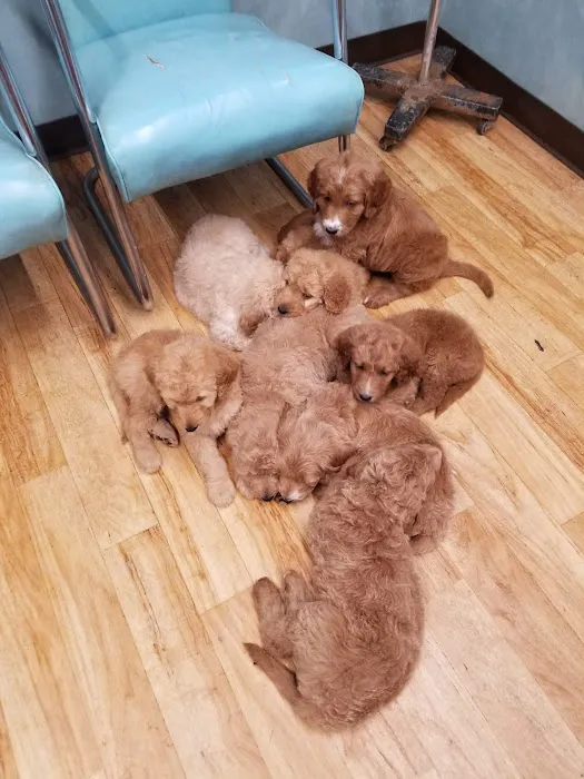 Mexico Animal Hospital Picture 5