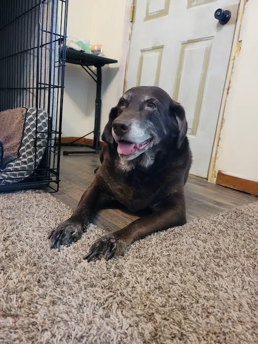 Mexico Animal Hospital Picture 6