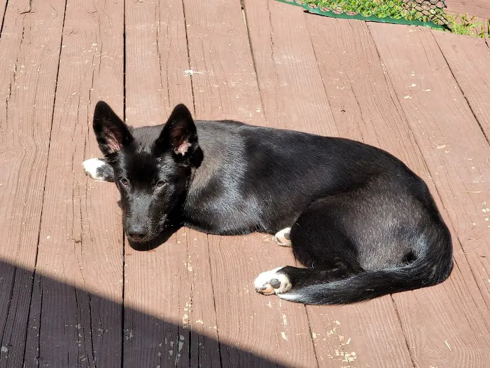 Mexico Animal Hospital Picture 9