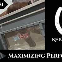 KF Equine, LLC ico