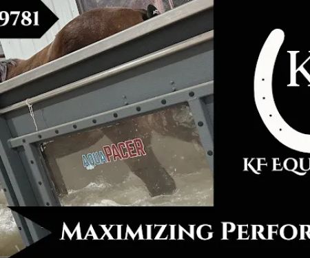 KF Equine, LLC