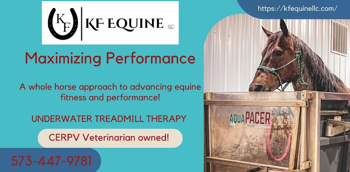 KF Equine, LLC Picture 2