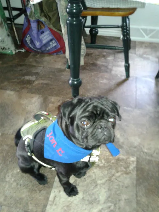 Veterinary Clinic Inc: Hudson Don DVM Picture 1