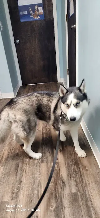 Audrain Veterinary Clinic Picture 1