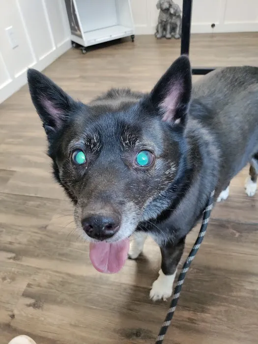 Audrain Veterinary Clinic Picture 6