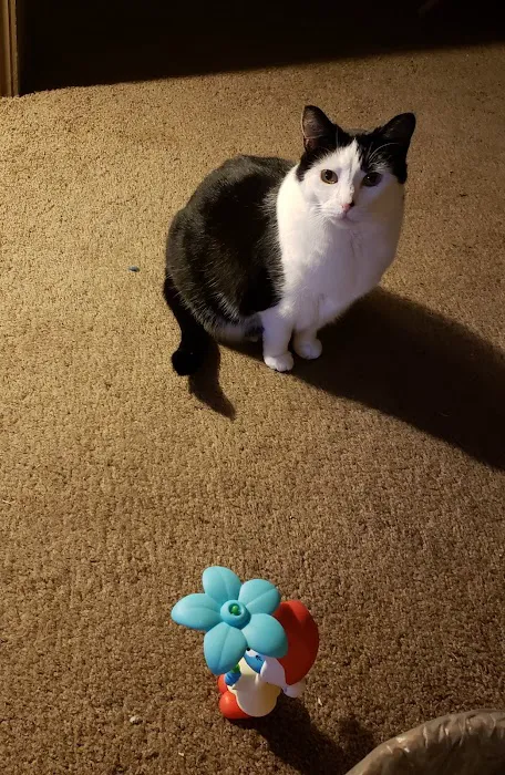 Audrain Veterinary Clinic Picture 5