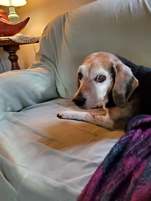 Audrain Veterinary Clinic Picture 4