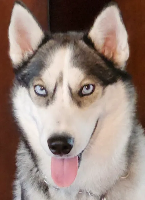 Audrain Veterinary Clinic Picture 3